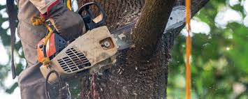 Best Soil Testing and Treatment  in Oakland City, IN