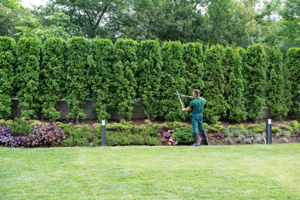 Best Grass Overseeding  in Oakland City, IN