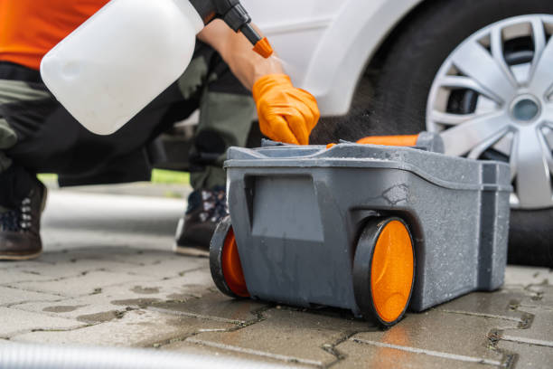 Best Tree Cabling and Bracing  in Oakland City, IN